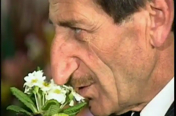 بلندترین بینی جهان